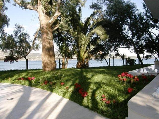 Tzeni Villa Lygia  Buitenkant foto
